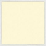 basic led paneel 4000k 60 x 60 cm met driver