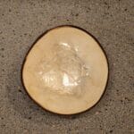 Gladstone muurlamp van Lichy, chroom, glazen roos &ndash; luxe design voor binnen en buiten.