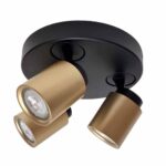 Robuuste zwarte en goudkleurige plafondspot voor binnenverlichting, perfect voor moderne en industriële interieurstijlen.