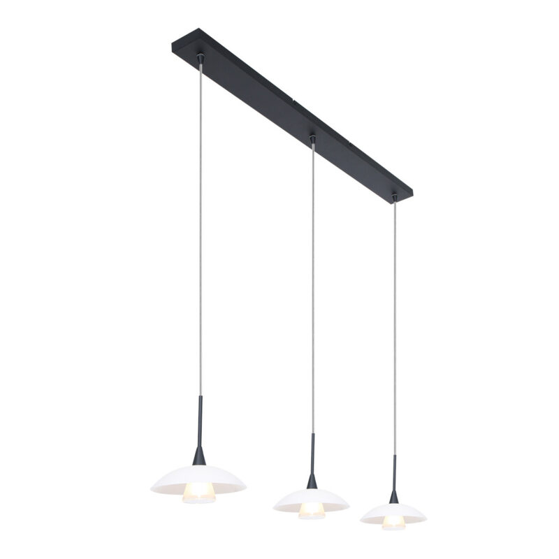 Hanglamp Tallerken 2654ZW Zwart - Afbeelding 2