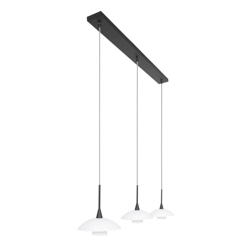 Hanglamp Tallerken 2654ZW Zwart - Afbeelding 14