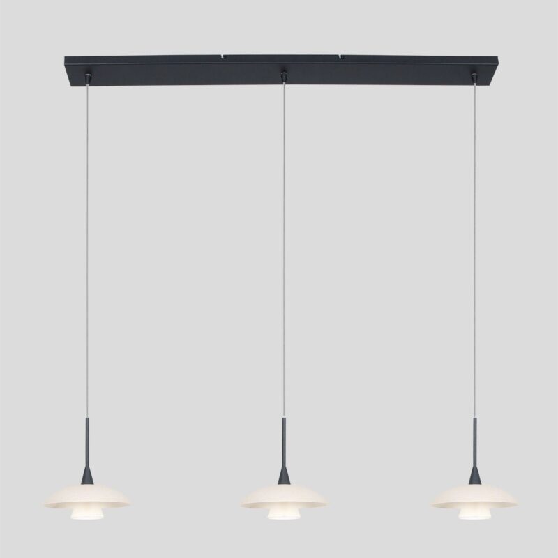 Hanglamp Tallerken 2654ZW Zwart - Afbeelding 15