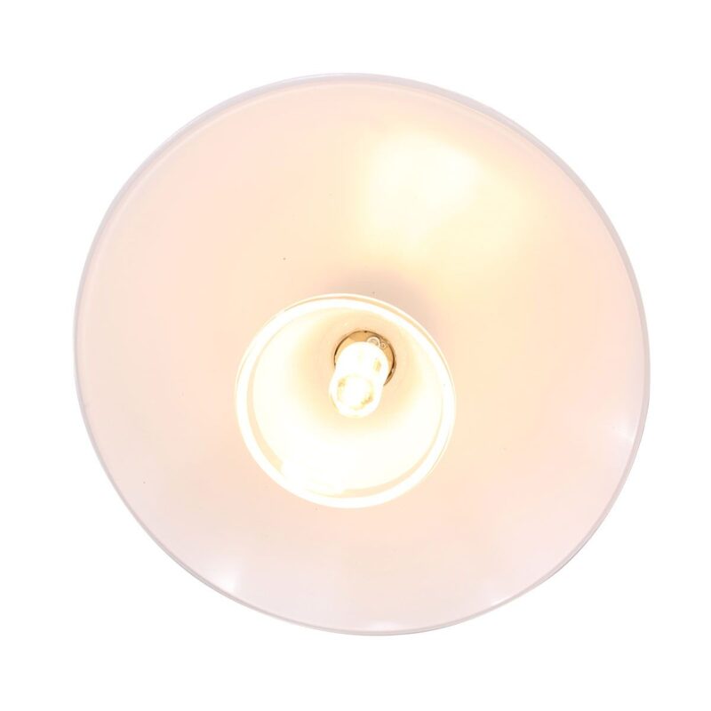 Hanglamp Tallerken 2655ST Staal 1 lichts 300 Lumen - Afbeelding 10