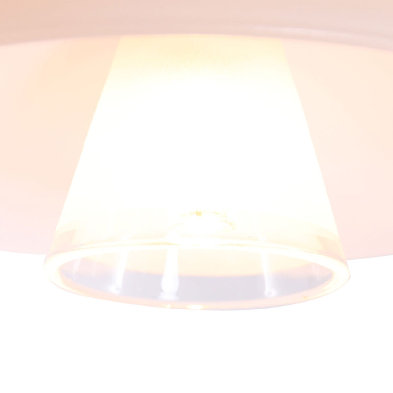 Hanglamp Tallerken 2655ST Staal 1 lichts 300 Lumen - Afbeelding 5