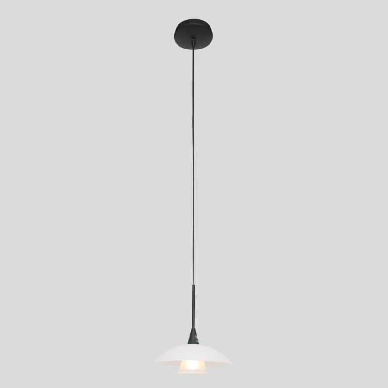 Hanglamp Tallerken 2655ZW Zwart 1 lichts 300 Lumen - Afbeelding 16
