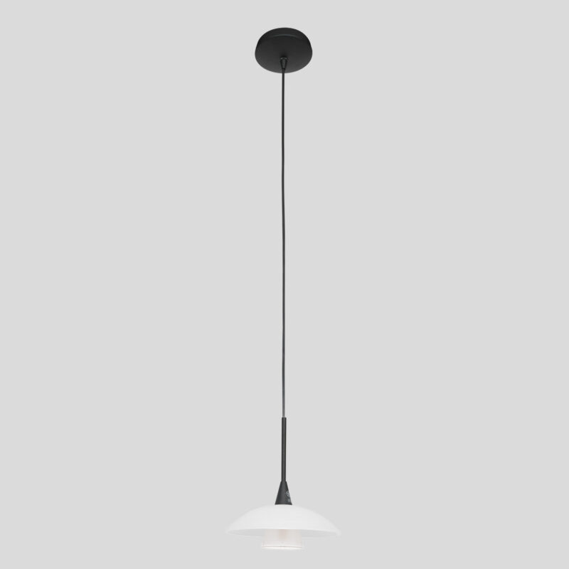 Hanglamp Tallerken 2655ZW Zwart 1 lichts 300 Lumen - Afbeelding 17