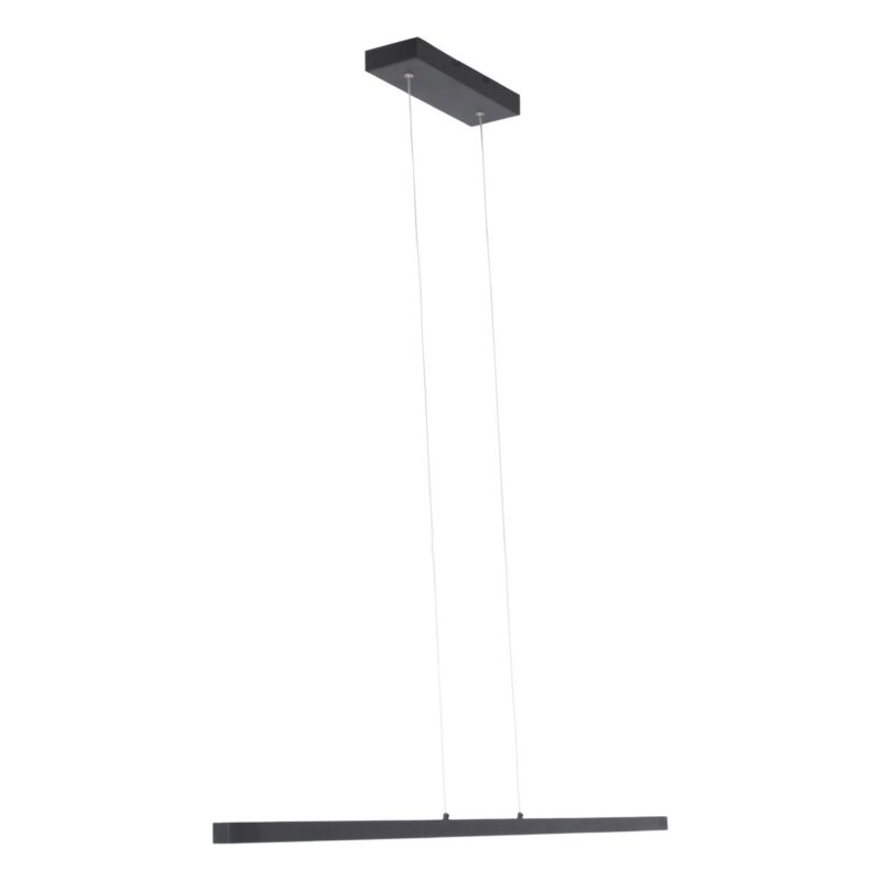 Minimalistische zwarte hanglamp Danske 2745ZW 2000 Lumen - Afbeelding 11