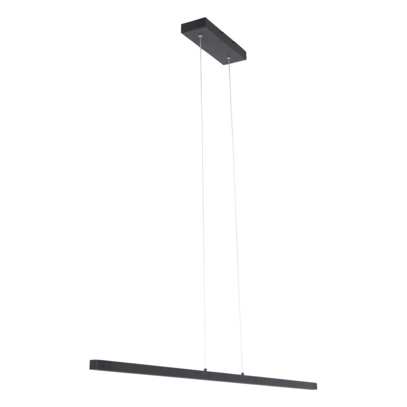 Minimalistische zwarte hanglamp Danske 2745ZW 2000 Lumen - Afbeelding 12