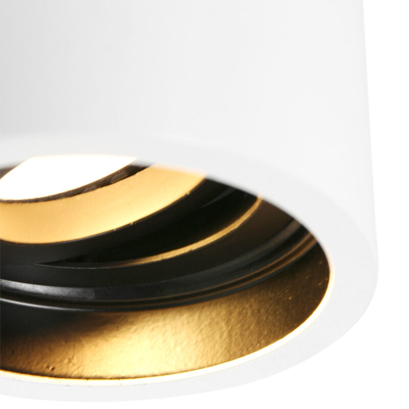 Opbouwspot Pelite spot 1731W Wit Ø8,5cm - Afbeelding 4