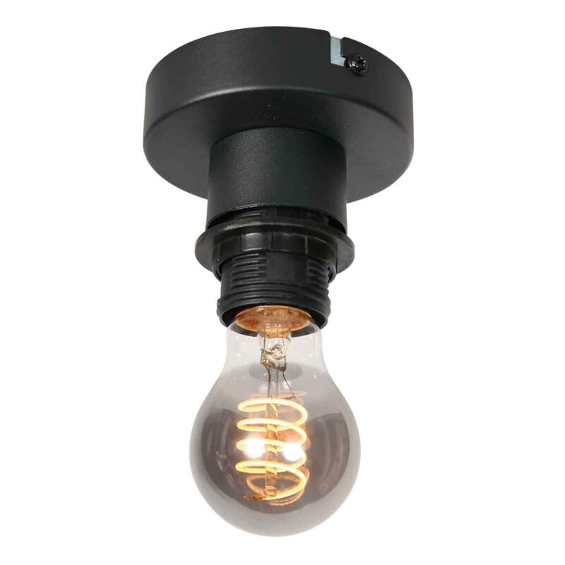 Plafondlamp Bloeba 4372ZW met rookglas druppelkap Ø15 cm - Afbeelding 8