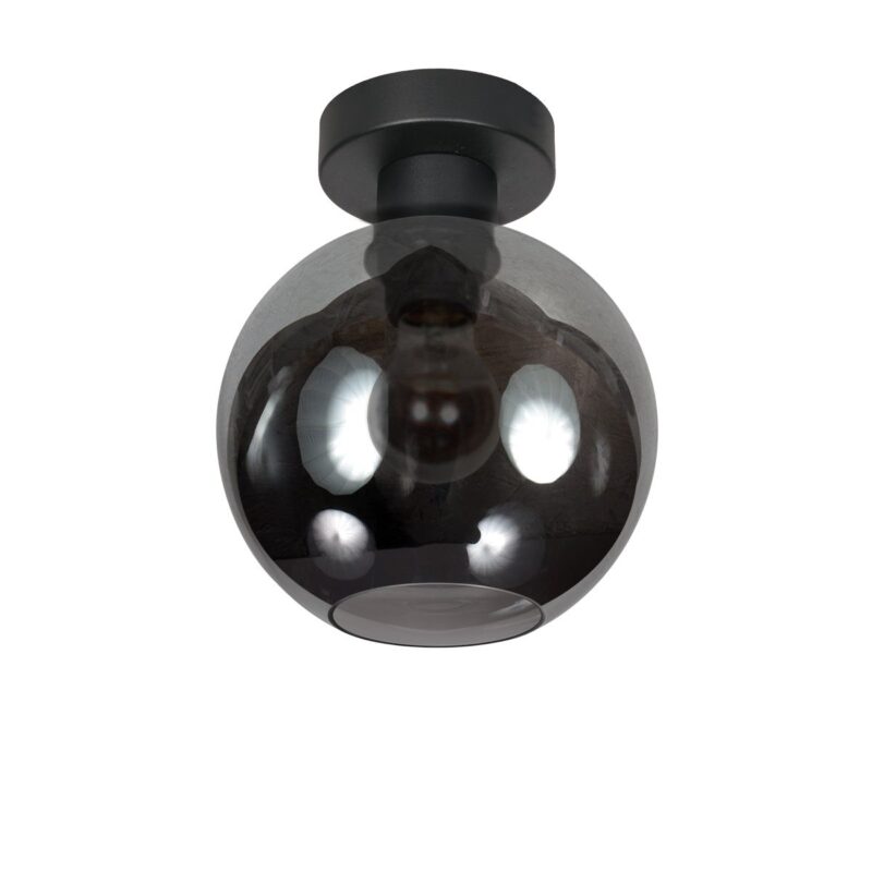 Plafondlamp Bloeba 4373ZW met rookglas kap Ø15 cm - Afbeelding 2