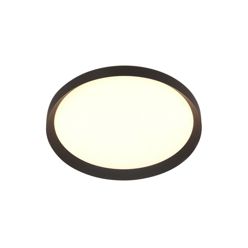 Plafondlamp Flady 3685ZW zwart Ø40 - Afbeelding 9