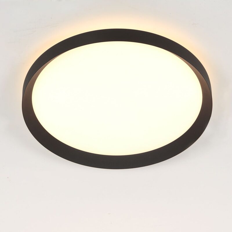 Plafondlamp Flady 3685ZW zwart Ø40 - Afbeelding 15
