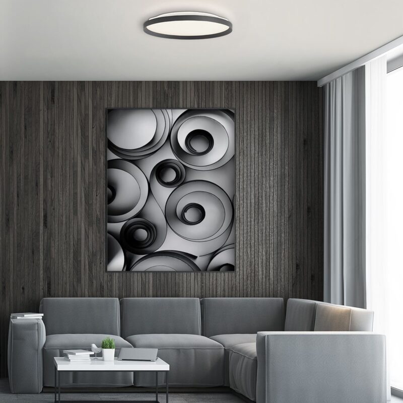 Plafondlamp Flady 3685ZW zwart Ø40 - Afbeelding 3