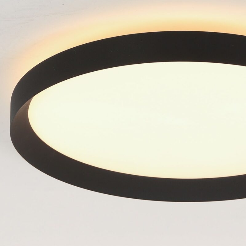 Plafondlamp Flady 3685ZW zwart Ø40 - Afbeelding 5