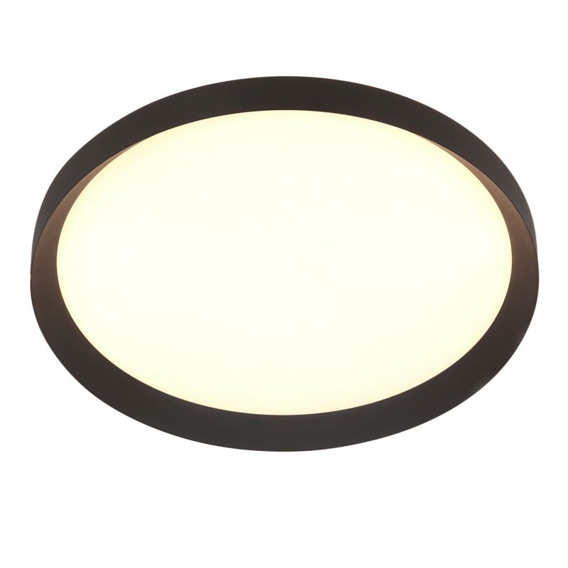Plafondlamp Flady 3686ZW zwart Ø50 4600 Lumen - Afbeelding 9