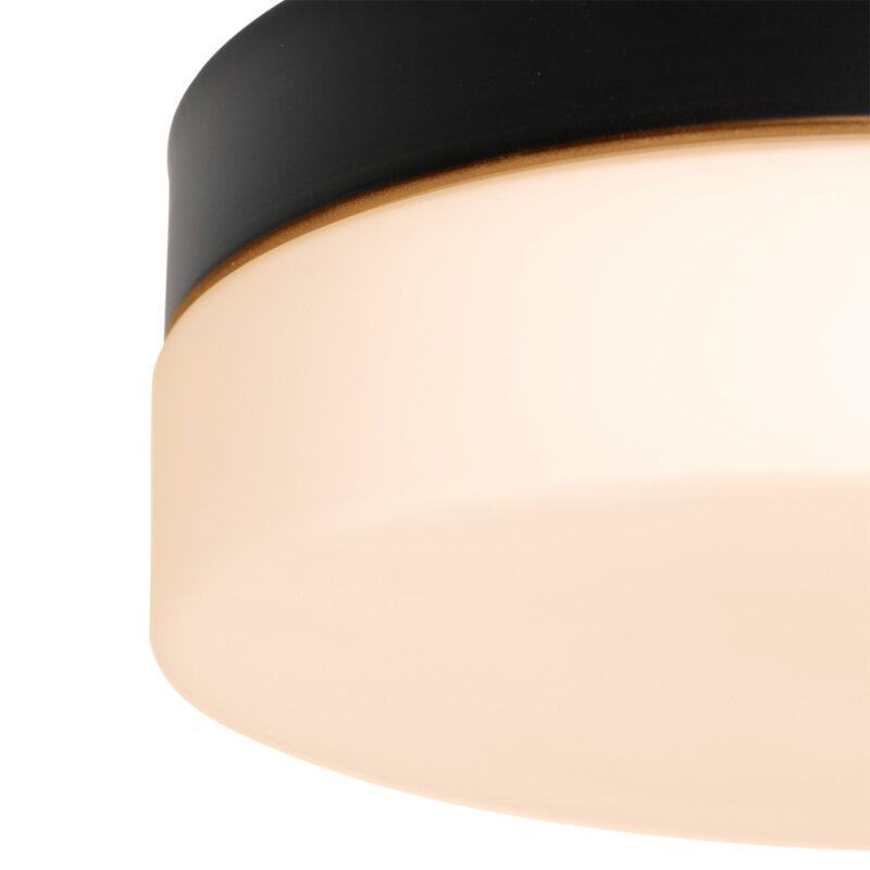 Plafondlamp Ikaro 1363ZW Zwart Ø24cm met 4 standen dimmer - Afbeelding 10