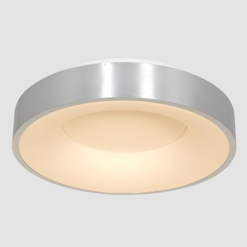 Plafondlamp RInglede 2563ZI Zilver Ø48cm - Afbeelding 12