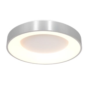 Plafondlamp Ringlede 2562ZI Zilver Ø38cm