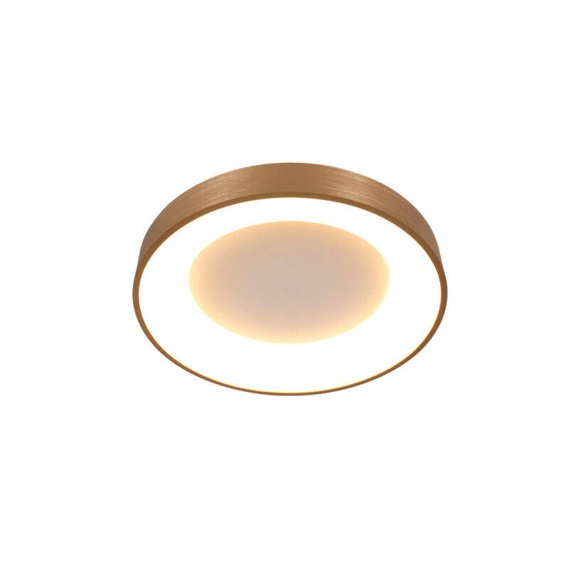 Plafondlamp Ringlede 3086GO Goud Ø30cm - Afbeelding 5