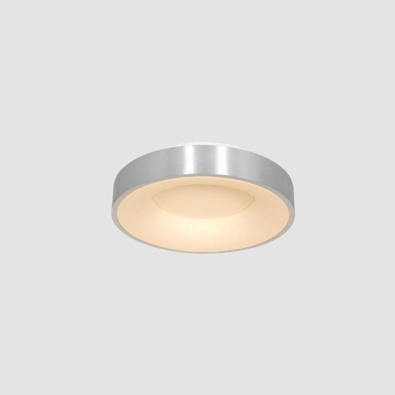 Plafondlamp Ringlede 3086ZI Zilver Ø30cm - Afbeelding 15