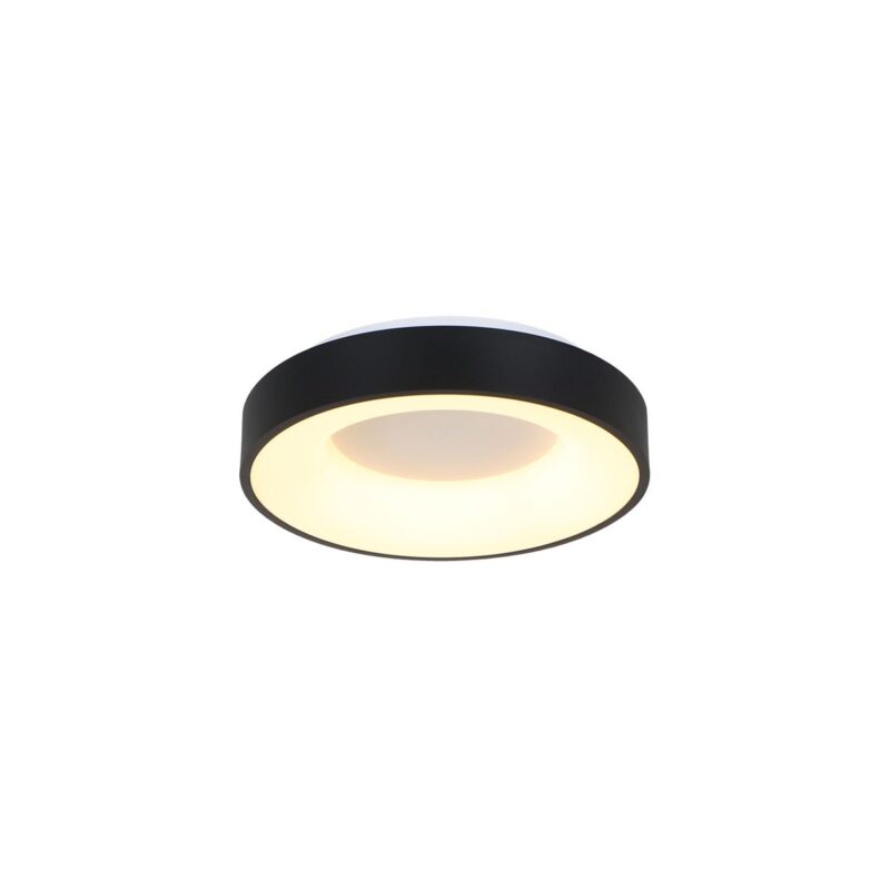 Plafondlamp Ringlede 3086ZW Zwart Ø30cm - Afbeelding 13
