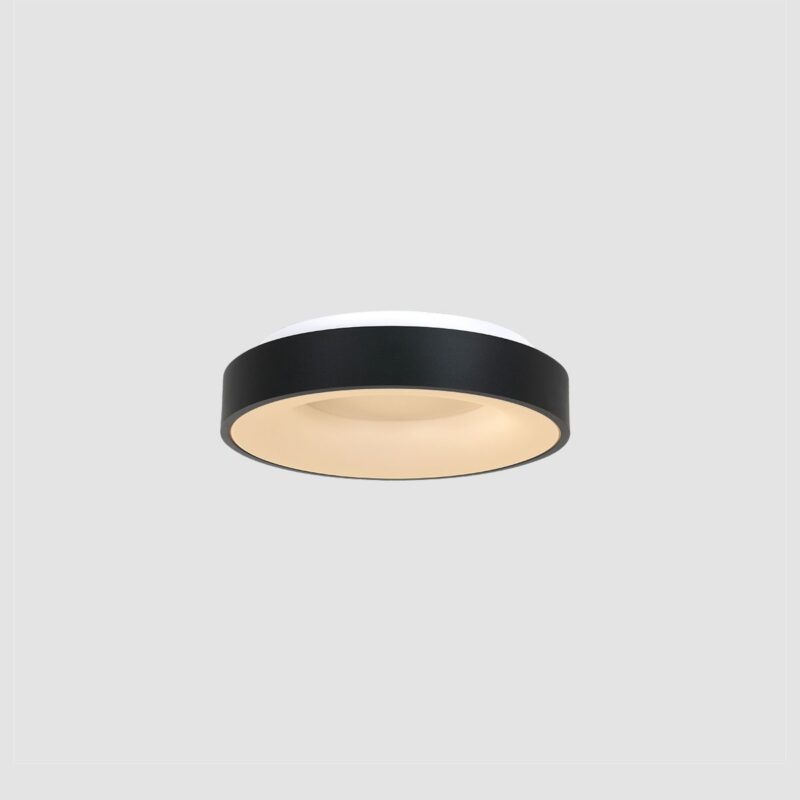 Plafondlamp Ringlede 3086ZW Zwart Ø30cm - Afbeelding 16