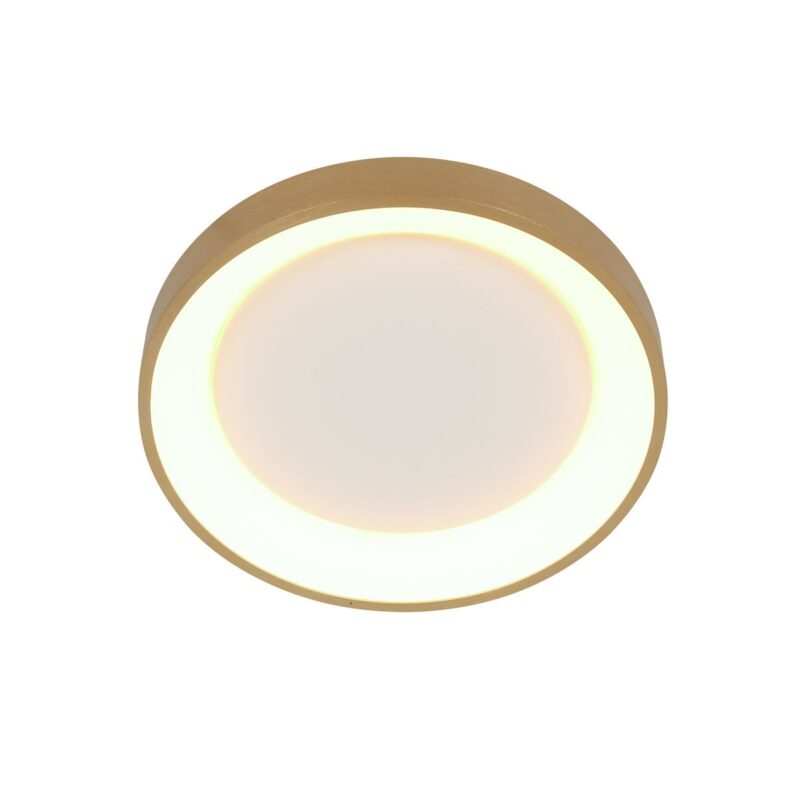 Plafondlamp Ringlede 3690GO Goud rond 28cm - Afbeelding 8