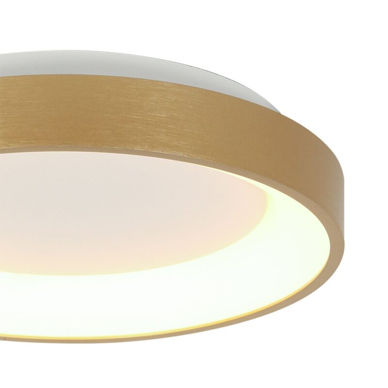 Plafondlamp Ringlede 3690GO Goud rond 28cm - Afbeelding 3