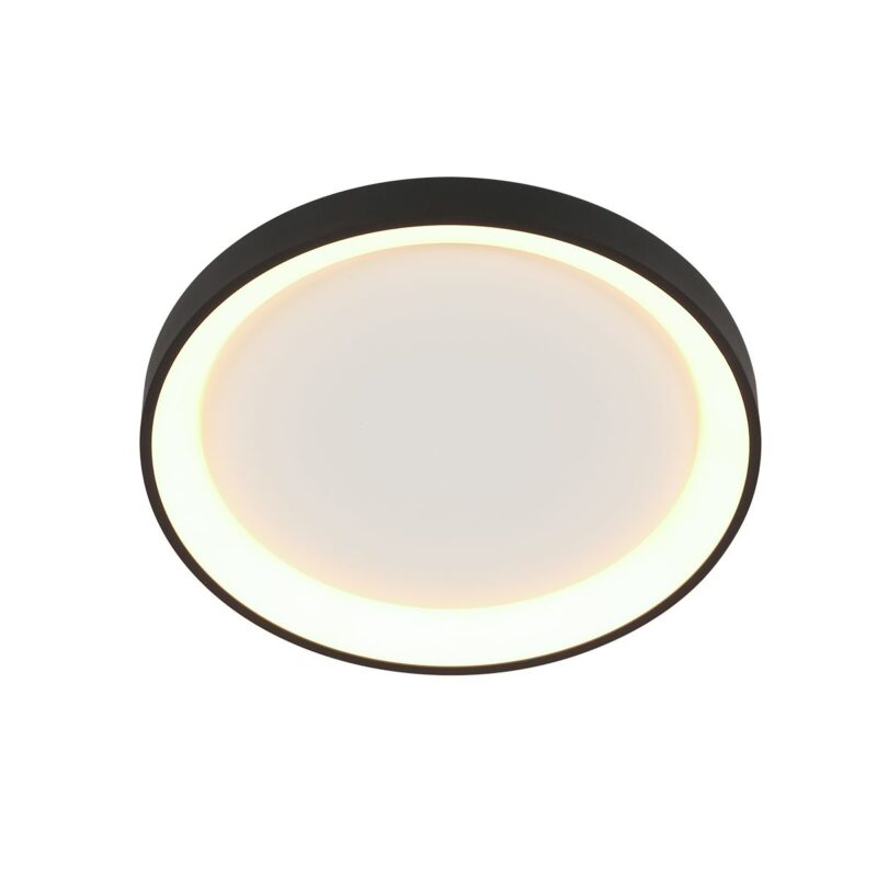 Plafondlamp Ringlede 3690ZW Zwart rond 28 cm dimbaar - Afbeelding 9