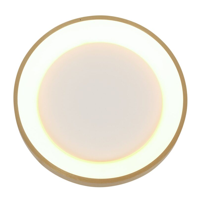 Plafondlamp Ringlede 3691GO Goud dimbaar 2400 Lumen - Afbeelding 10
