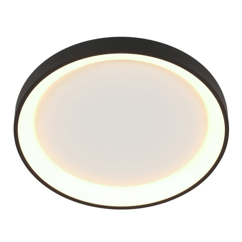 Plafondlamp Ringlede 3691ZW Zwart goed dimbaar - Afbeelding 10