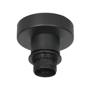 Zwarte plafondlamp Bloeba 4129ZW zonder lampenkap