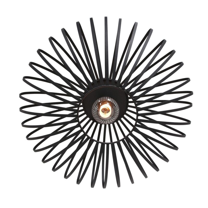 Zwarte plafondlamp Dunbar 3097ZW Ø40cm E27 fitting - Afbeelding 12