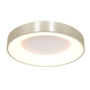 Plafondlamp Ringlede 2562ZI Zilver &Oslash;38cm