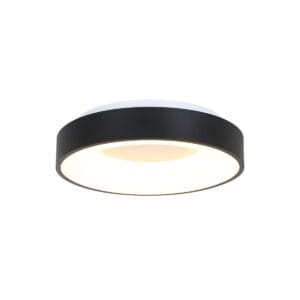 Plafondlamp Ringlede 2562ZW Zwart &Oslash;38cm