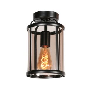 Plafondlamp Pimpernel 5973ZW zwart met rookglas &Oslash;16 cm